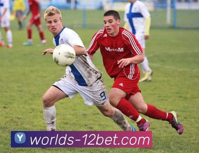 壹贰博12BET官网发展历程